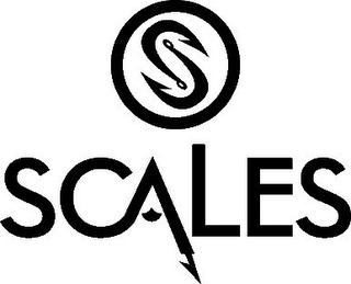 S SCALES logo
