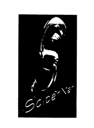 S SCIBERNET logo