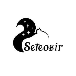 S SETEOSIR logo