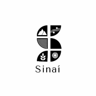 S SINAI logo