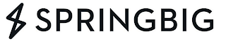 S SPRINGBIG