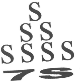 S SS SSSS 7S logo