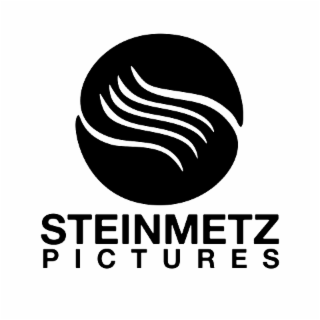 S STEINMETZ PICTURES logo