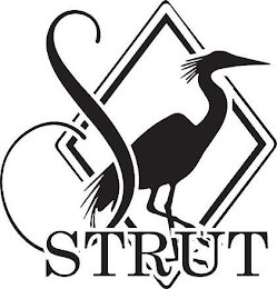 S STRUT logo