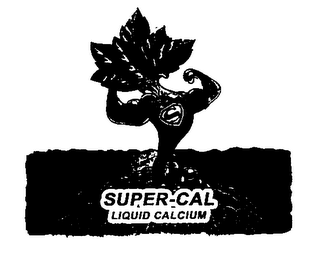 S SUPER-CAL LIQUID CALCIUM logo