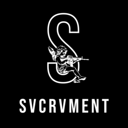 S SVCRVMENT logo