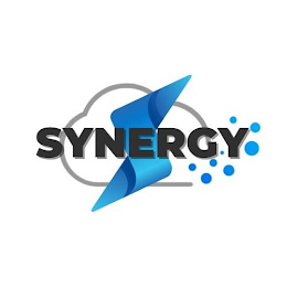 S SYNERGY logo