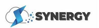 S SYNERGY logo