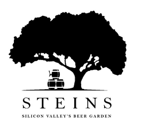 S T E I N S SILICON VALLEY'S BEER GARDEN logo