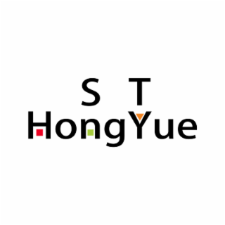 S T HONGYUE logo