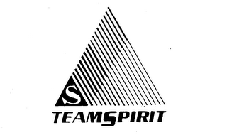 S TEAMSPIRIT logo