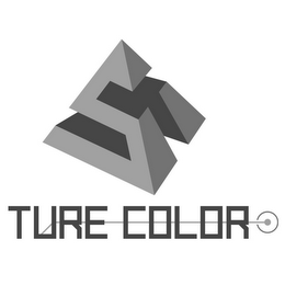 S TURE COLOR logo
