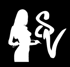 S V logo