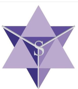 S Y logo