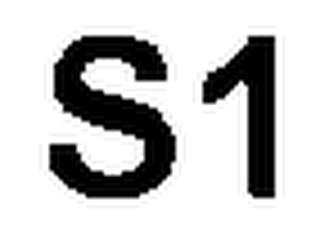 S1 logo