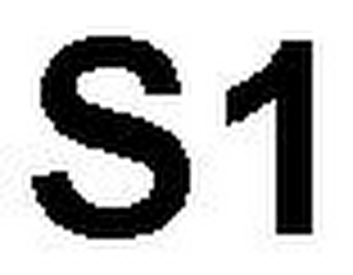 S1 logo