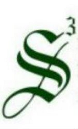 S3 logo