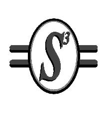 S3 logo