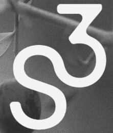 S3 logo