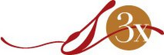 S3X logo