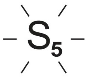 S5 logo