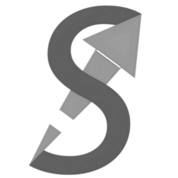 S8 logo
