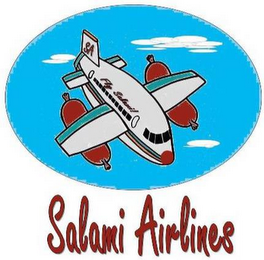 SA FLY SALAMI SALAMI AIRLINES logo