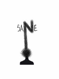 SA N E logo