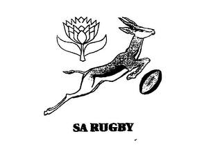 SA RUGBY logo