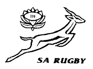 SA RUGBY logo