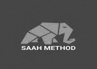 SAAH METHOD logo
