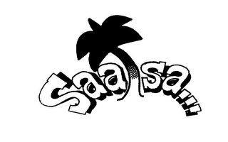 SAALSA... logo