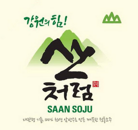 SAAN SOJU 100% logo
