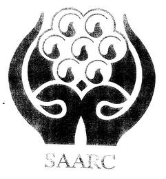SAARC logo