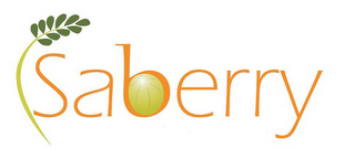 SABERRY logo