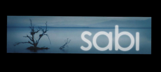 SABI logo
