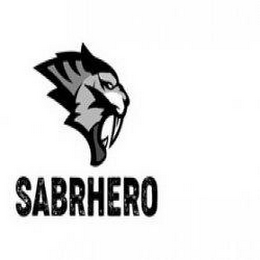 SABRHERO logo