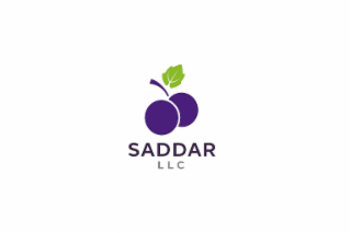 SADDAR LLC logo