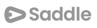 SADDLE logo