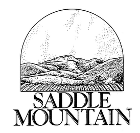 SADDLE MOUNTAIN logo