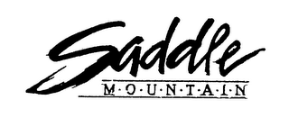 SADDLE MOUNTAIN logo