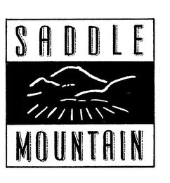 SADDLE MOUNTAIN logo