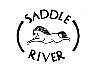SADDLE RIVER logo