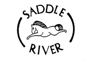 SADDLE RIVER logo