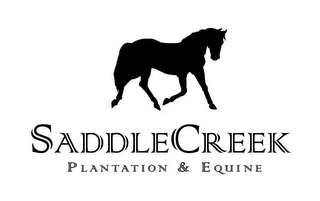 SADDLECREEK PLANTATION & EQUINE logo