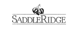 SADDLERIDGE logo
