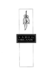 SADEG ORGANIC logo