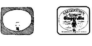 SAEGERTOWN ARISTOCRAT GINGERALE logo