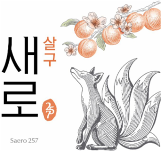 SAERO 257 logo