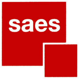 SAES logo